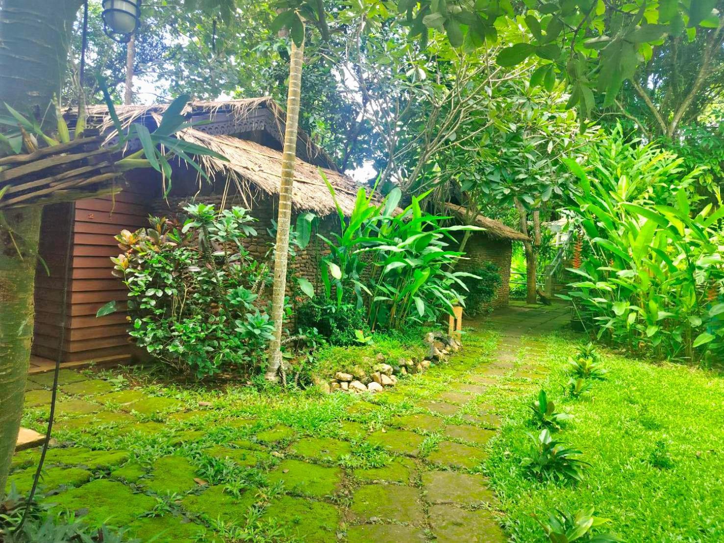 Hot Coffee Guest House And Resort Ban Mae Na Chon Екстер'єр фото